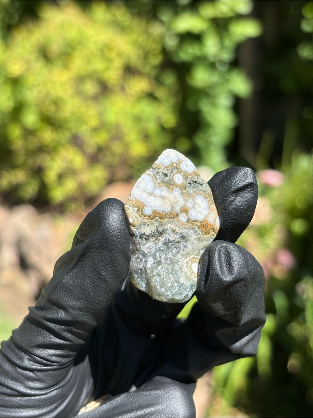 Ocean Jasper Crystal Set - Polished Sea Jasper Bundle - Orbicular Jasper - Picture 9 of 17